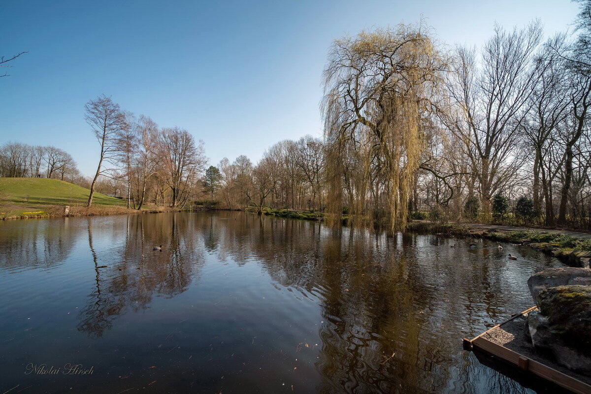 *** - Николай Гирш