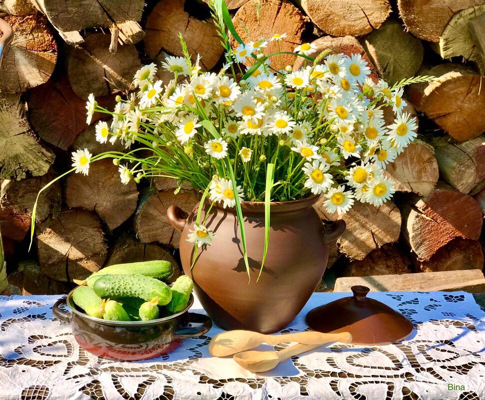 Ромашки, лето, огурцы) - Альбина 