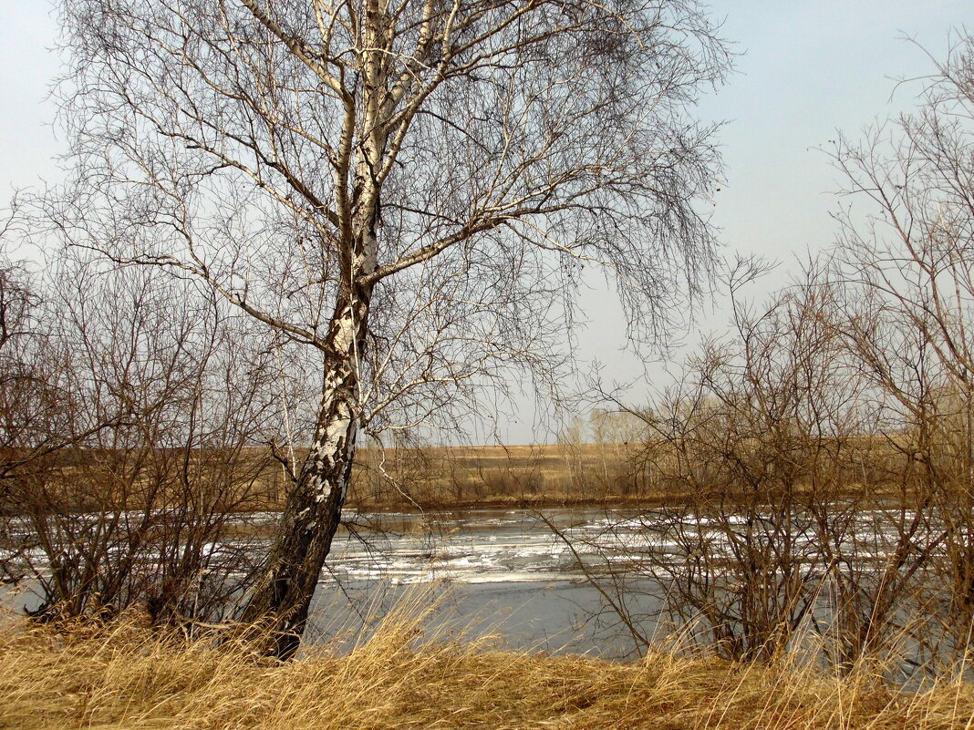 Время ледохода. - nadyasilyuk Вознюк