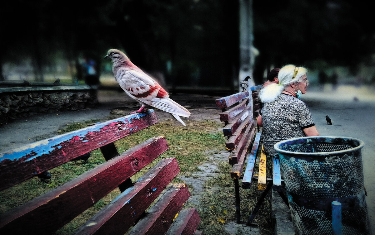 Горожане. - Андрей. 