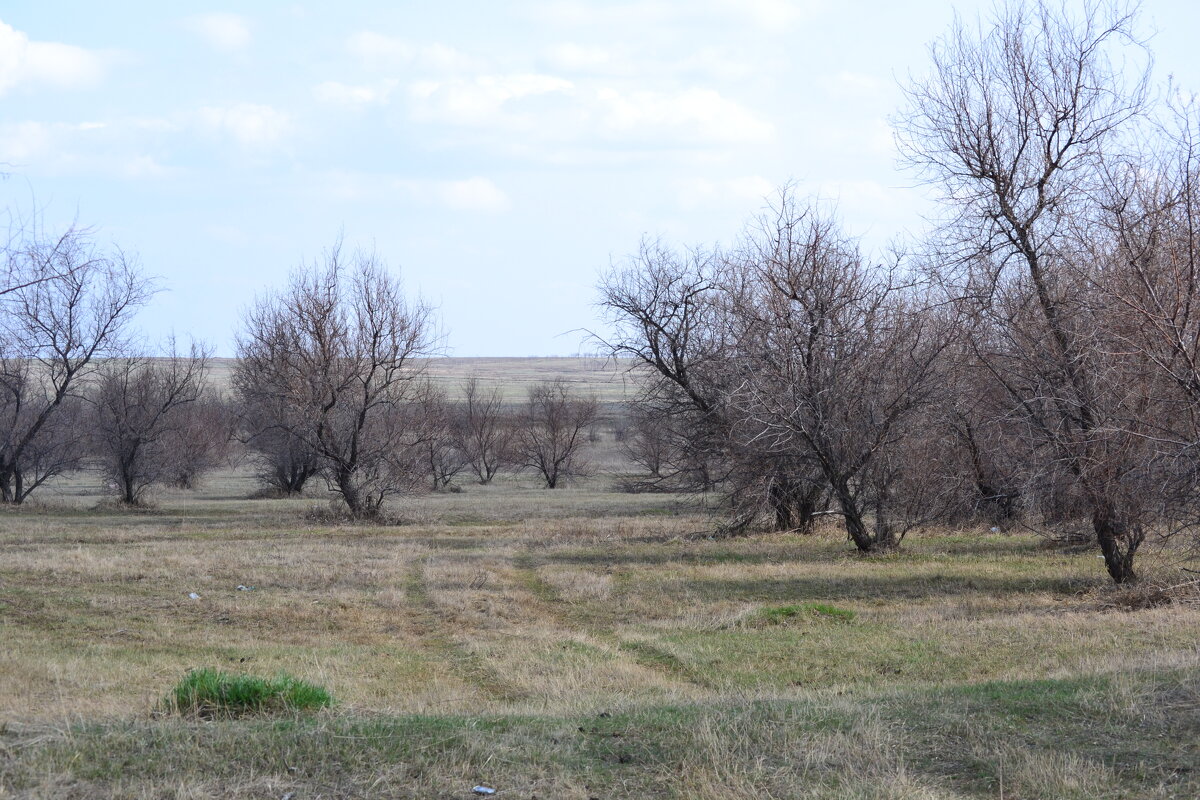 А жизнь ...Продолжается... - Георгиевич 