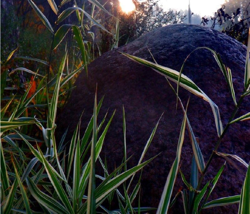 Природа - Михаил 