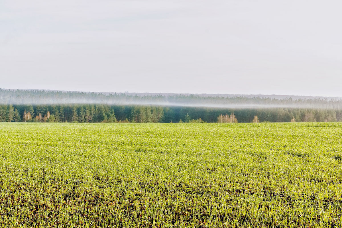 Полоса тумана.. - Юрий Стародубцев Полоса тумана.. - Юрий Стародубцев