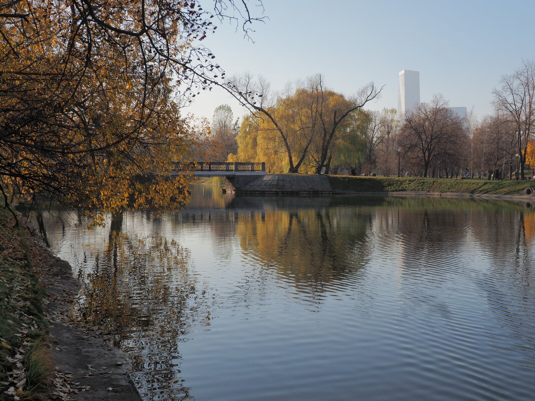 Московская осень. - Евгений Седов
