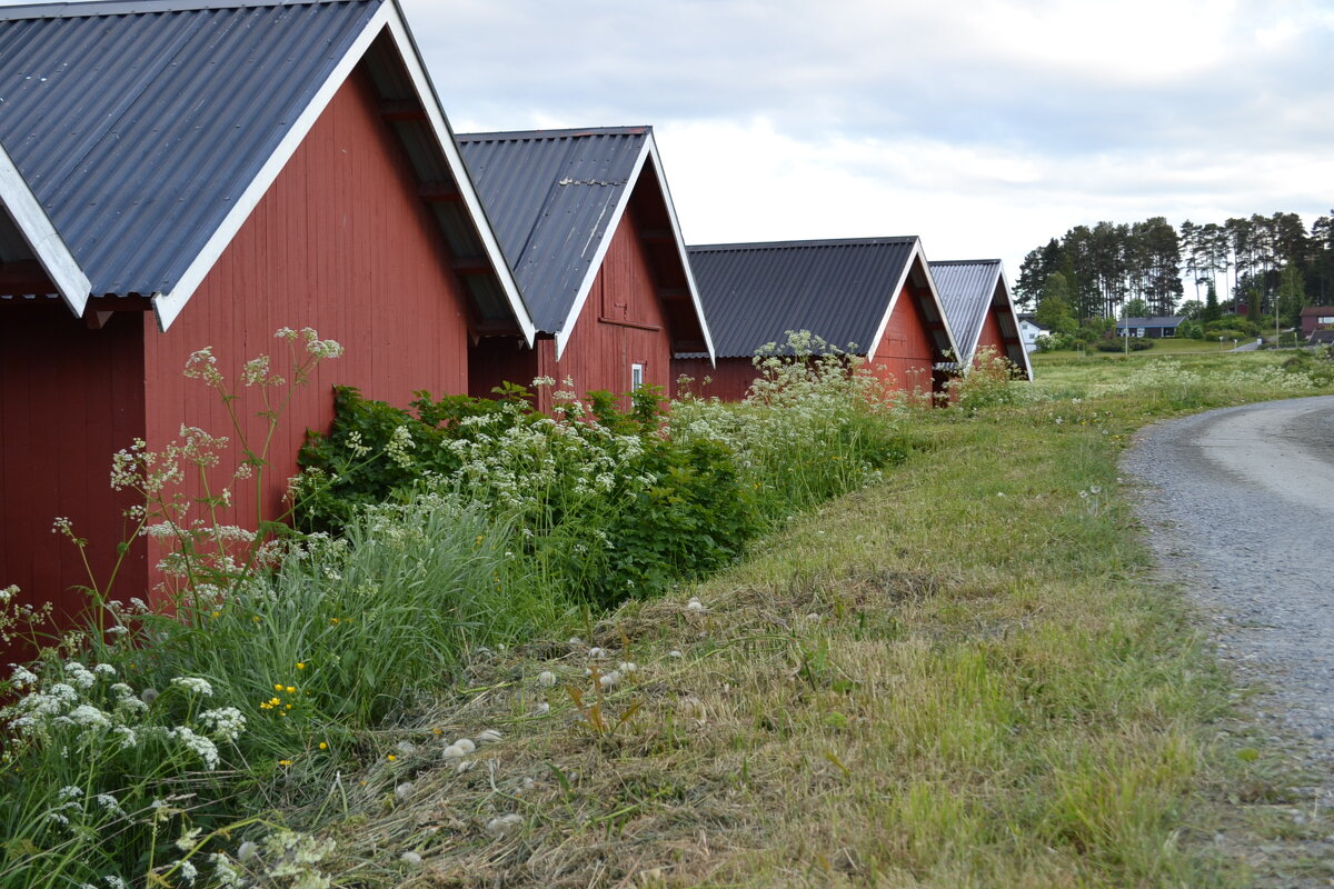 Дорога к морю - Елена Байдакова Дорога к морю - Елена Байдакова