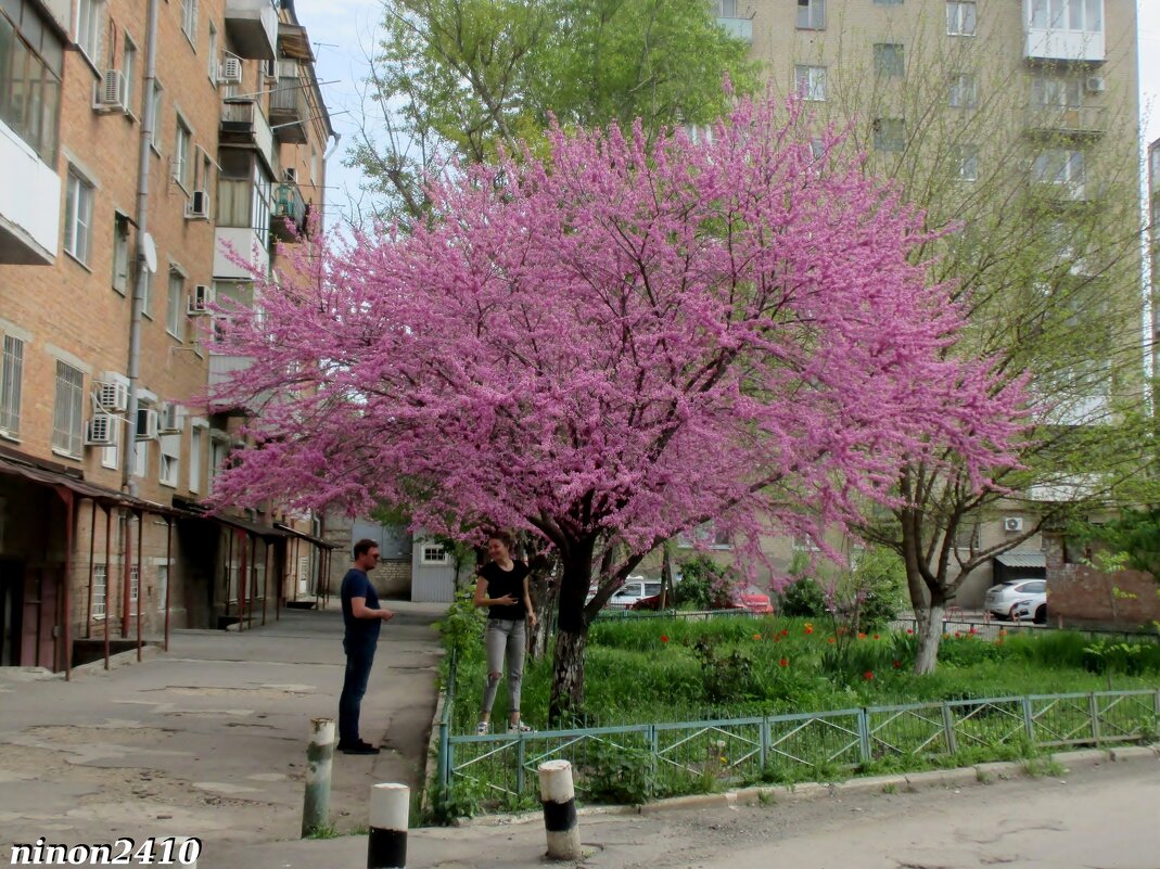 Встреча - Нина Бутко