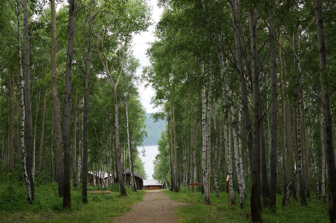 Дорога к озеру - Вера Щукина