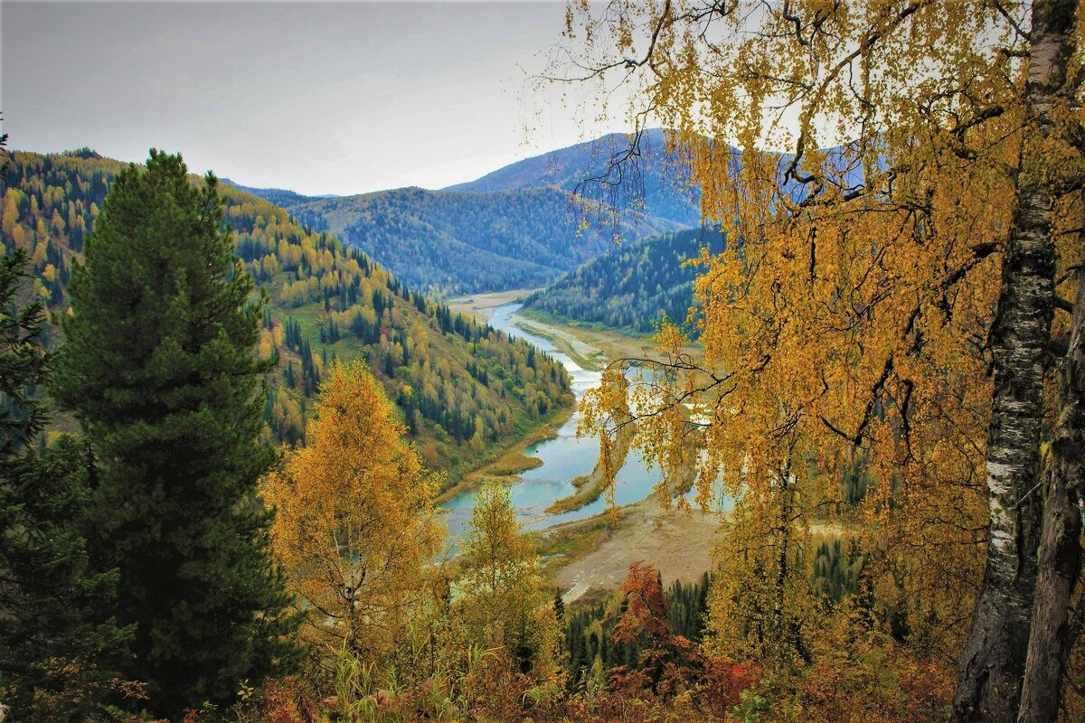 В сентябре - Сергей Чиняев 