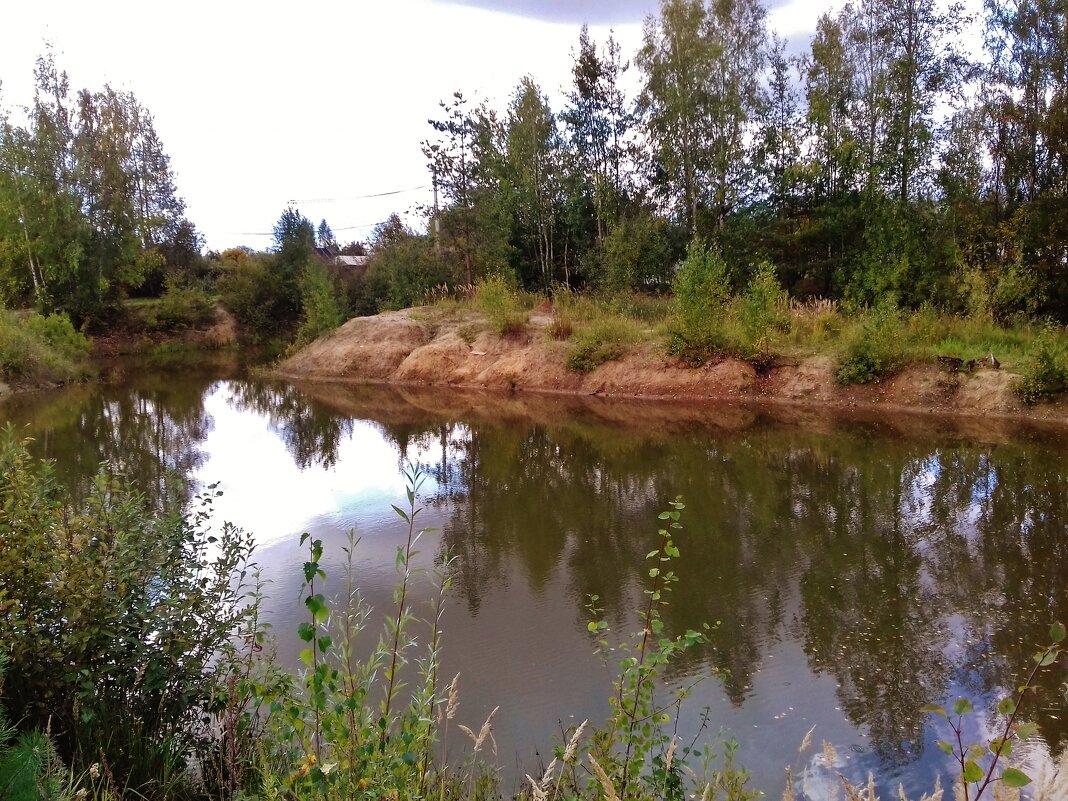 лесной водоем - Владимир 