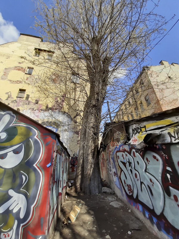 за гаражами - galina bronnikova за гаражами - galina bronnikova