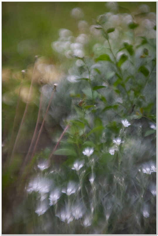 объектив-ахромат - Гонорий Голопупенко