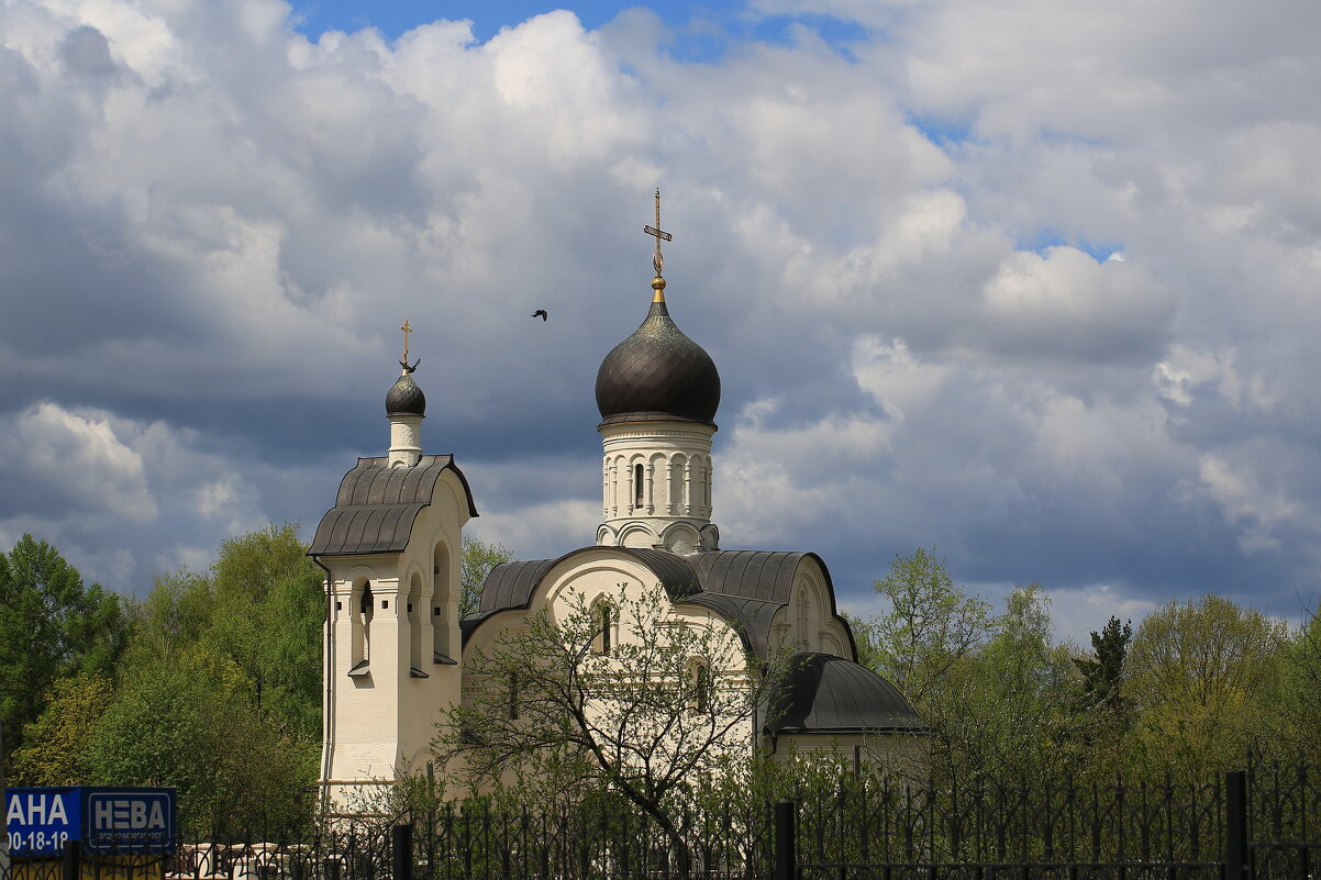 Переделкино - Ninell Nikitina