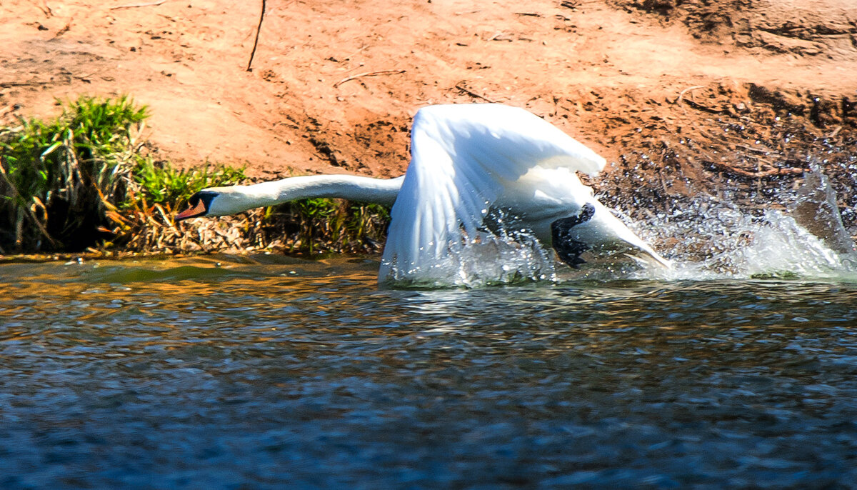 Бегом по воде! - Владимир Безбородов