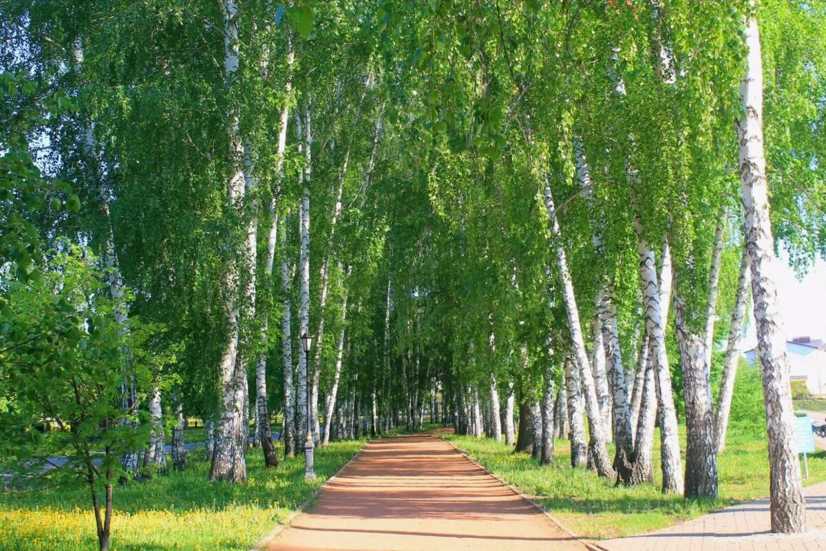 В городском парке - Горкун Ольга Николаевна 