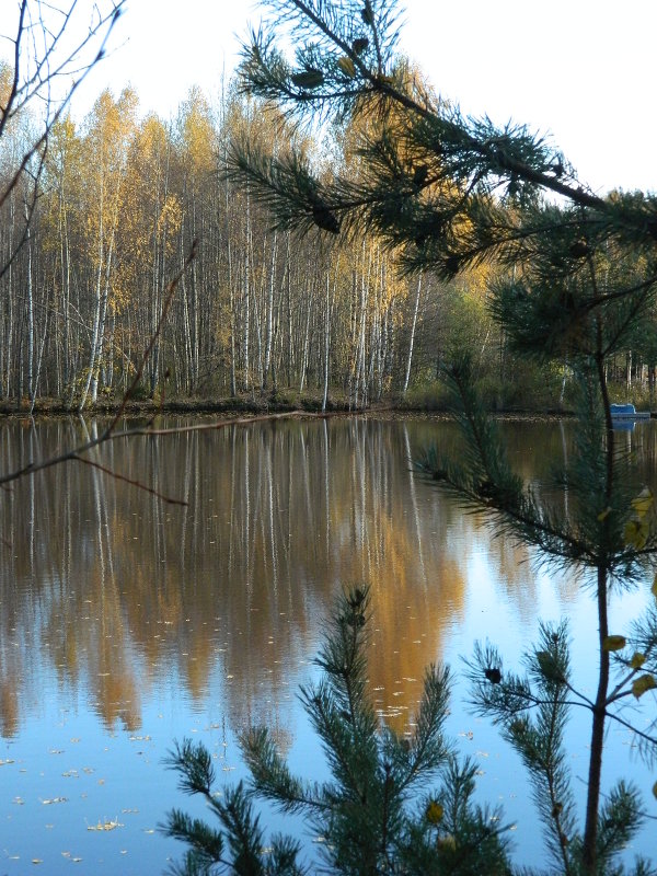 Осень в зазеркалье. - Елена Р 