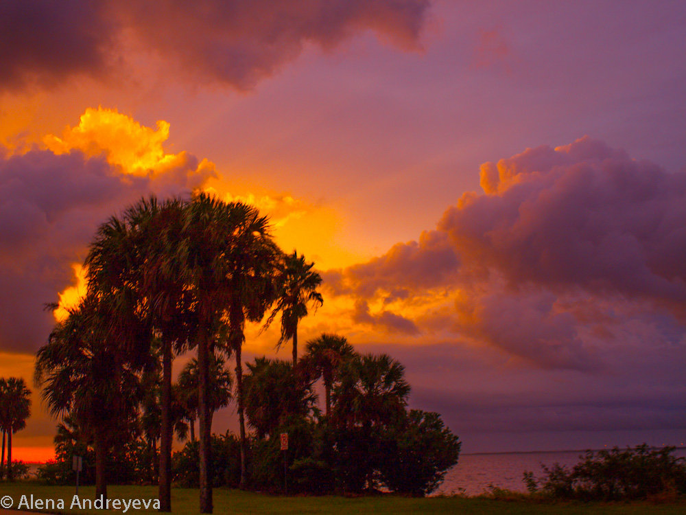 Пейзаж - Alena 