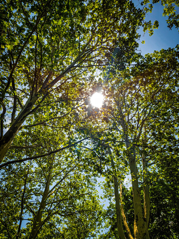 Просто шел с обеда на работу - ARCHANGEL 7 Просто шел с обеда на работу - ARCHANGEL 7