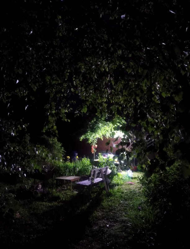 Двор - Маруся Маруся