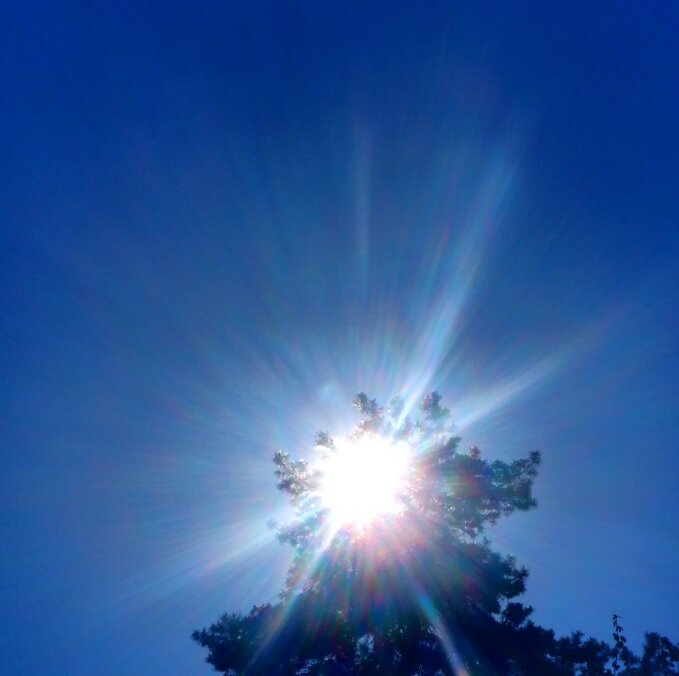 Природа - Михаил 