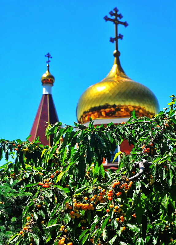 Под сенью Десницы - Владимир Насыпаный 