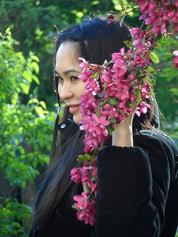 Цветёт русская сакура - яблоня Недзвецкого - Галина Цветёт русская сакура - яблоня Недзвецкого - Галина