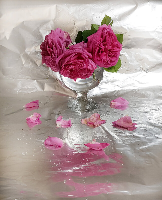 О, как же розы восхищают! - Наталья (D.Nat@lia)