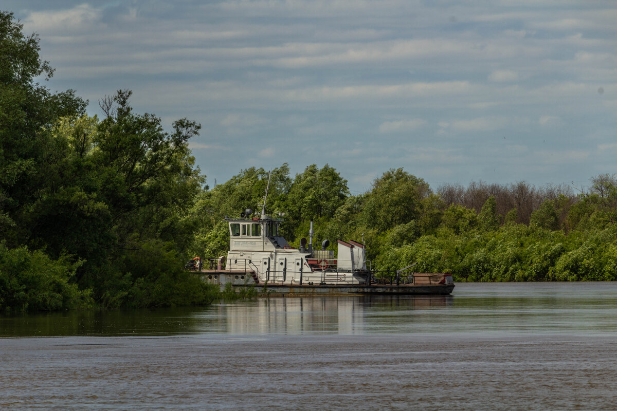 Буксир в засаде - Владимир Кириченко Буксир в засаде - Владимир Кириченко