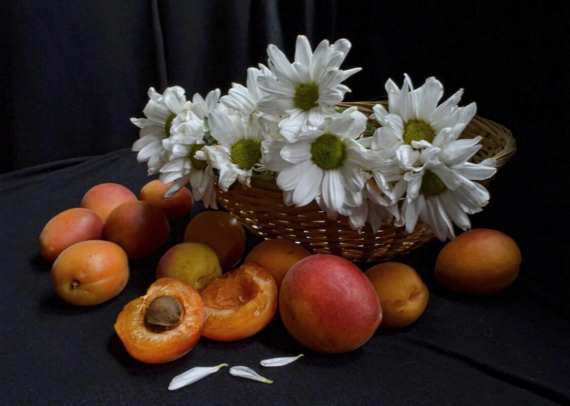 ЛЕТО !!! - РИММА МОЛОДЧЕНКО (ТАРАСОВА ) ЛЕТО !!! - РИММА МОЛОДЧЕНКО (ТАРАСОВА )