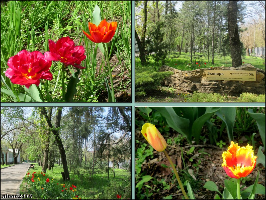 В ростовском зоопарке - Нина Бутко