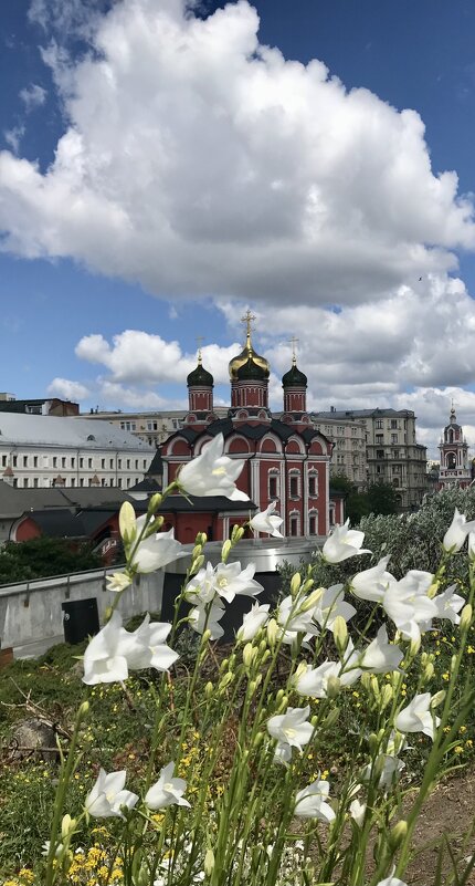 Прогулки по Москве. - Pippa 