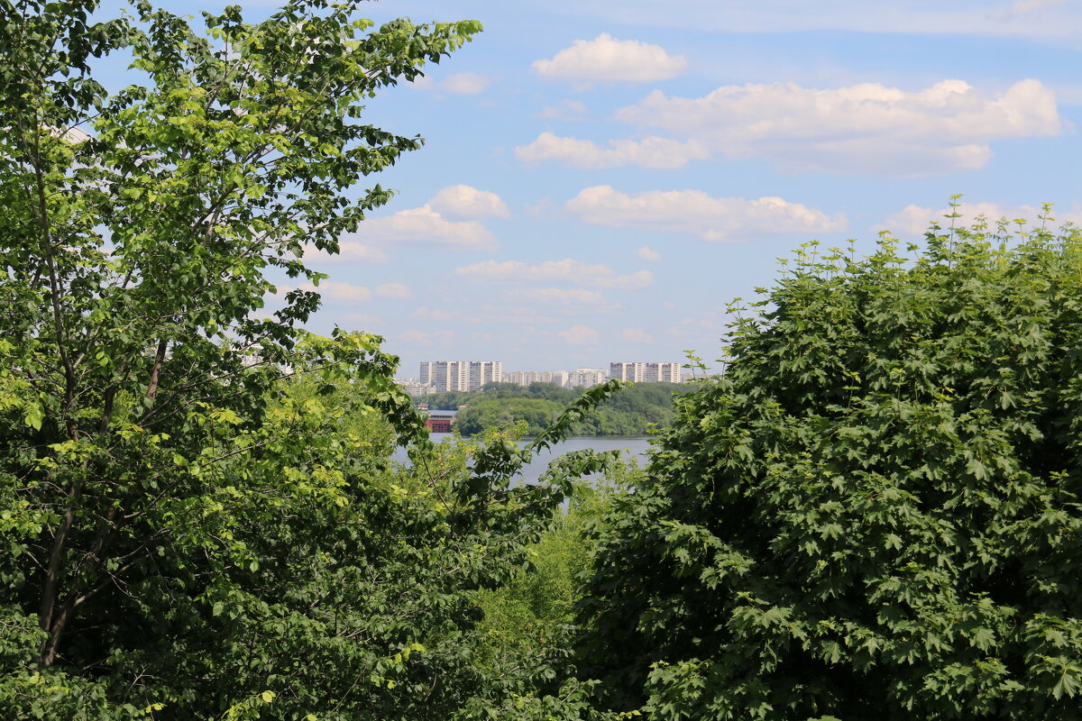 лето - Владимир Холодницкий