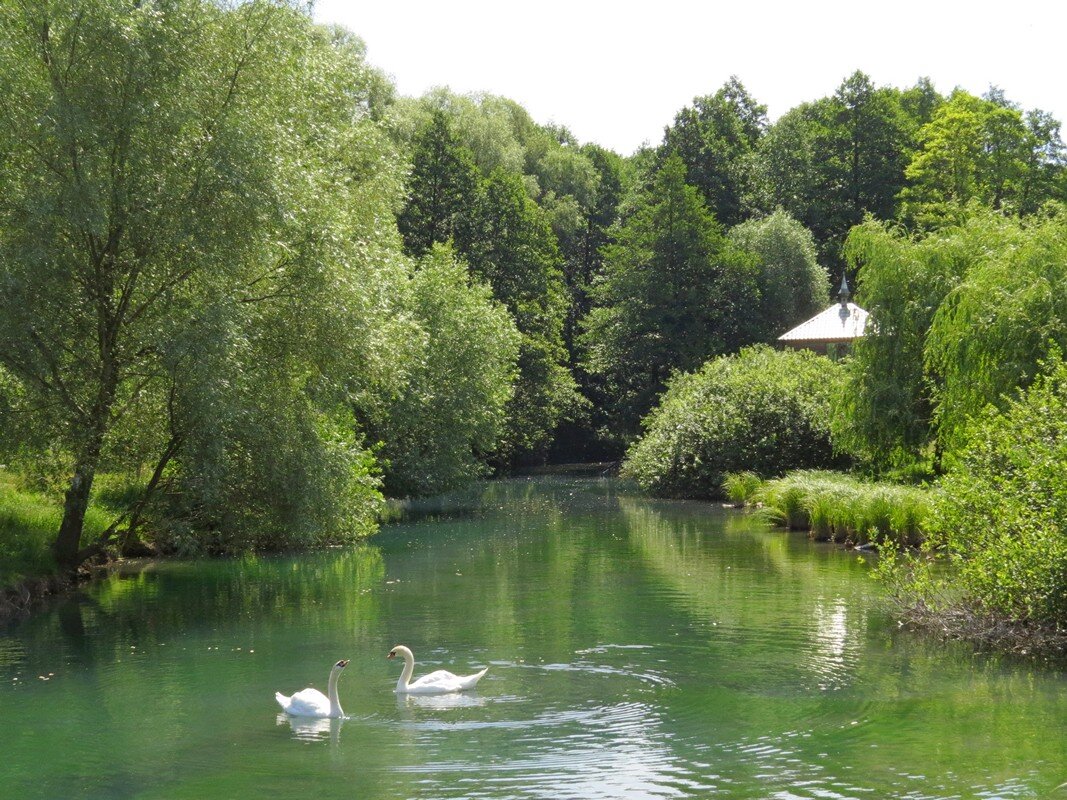 Тишина - Сеня Белгородский