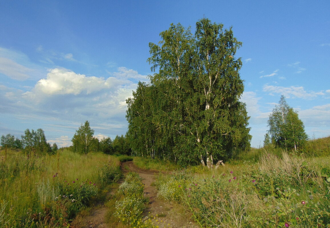 Дорогами лета. - nadyasilyuk Вознюк