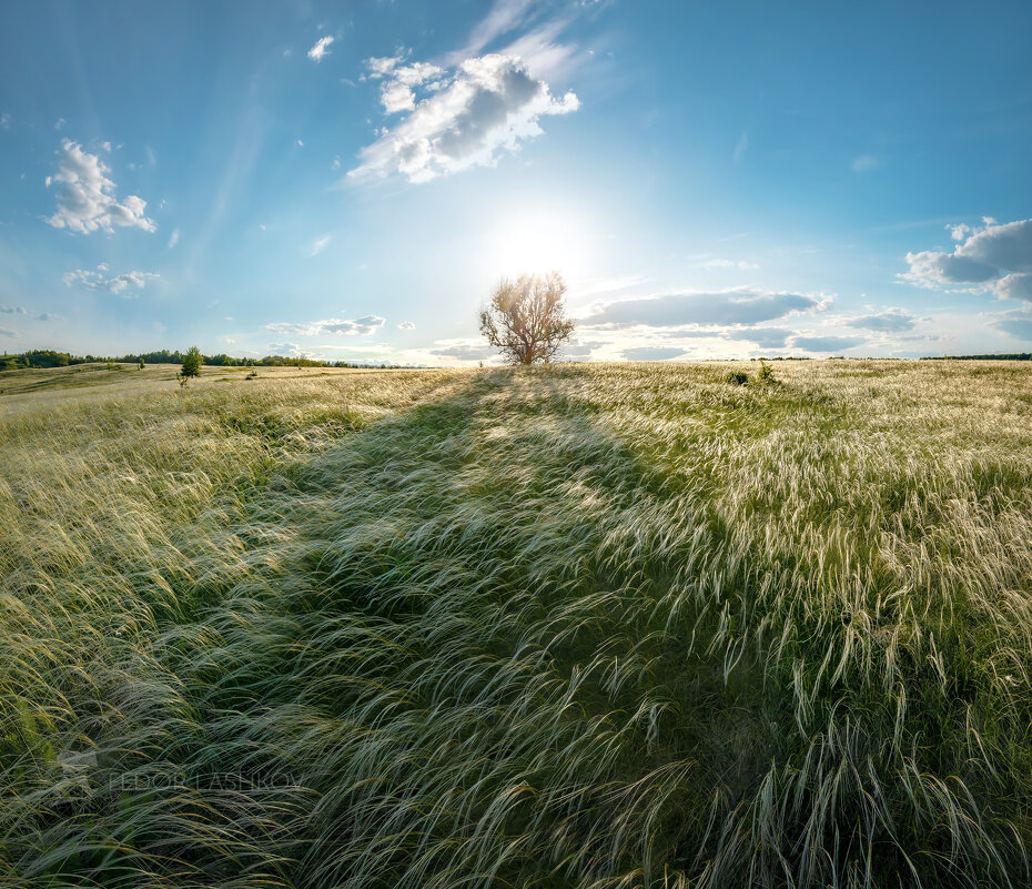 Новый день! - Фёдор. Лашков