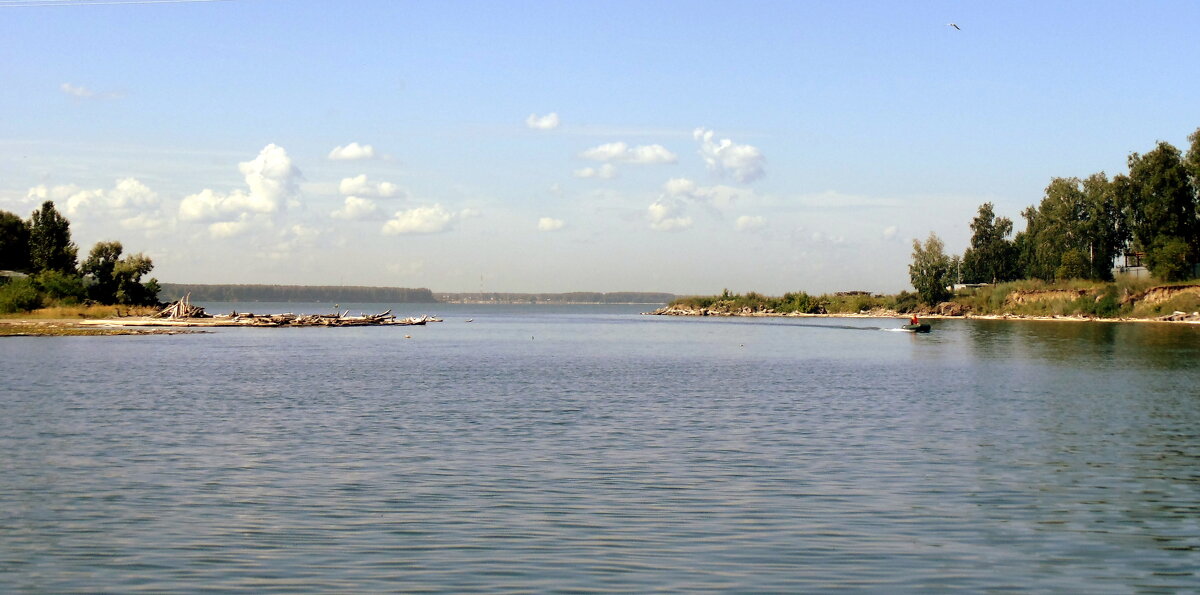 Лето . - Мила Бовкун