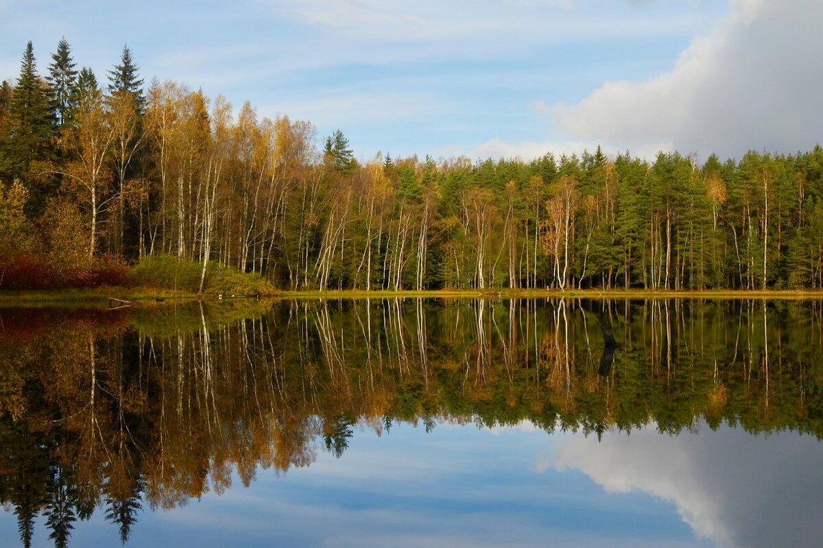 В утренней тишине...... - Юрий Цыплятников В утренней тишине...... - Юрий Цыплятников