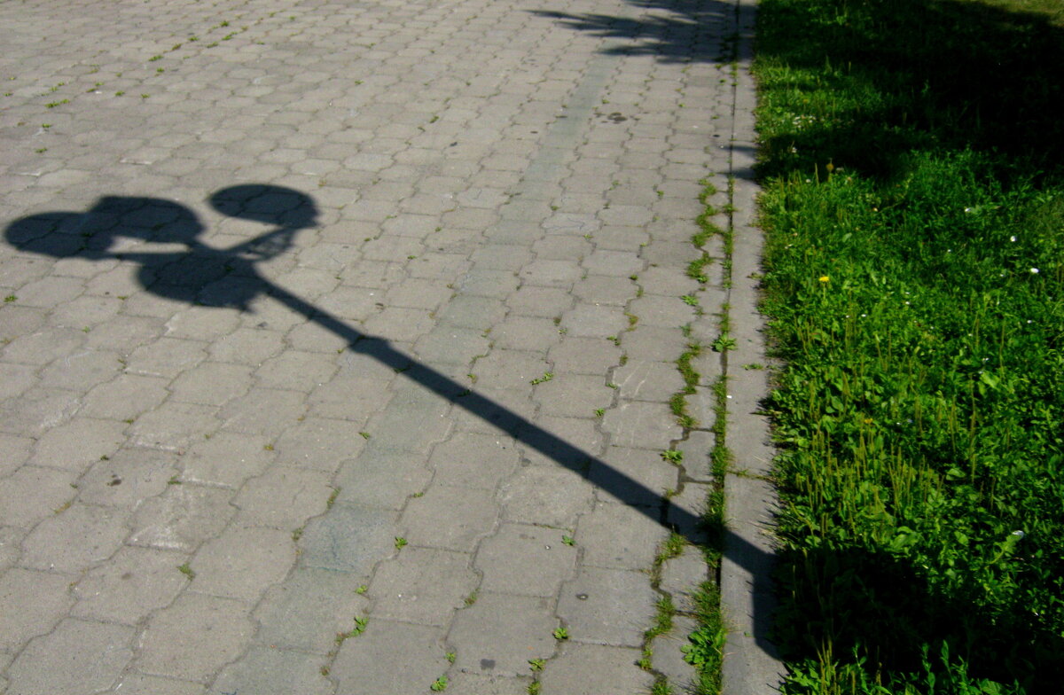 Тень. - Радмир Арсеньев