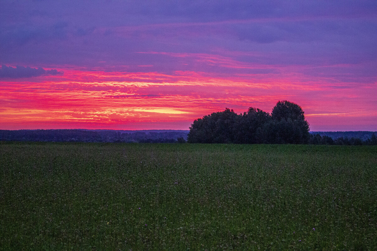 .. - оксана 