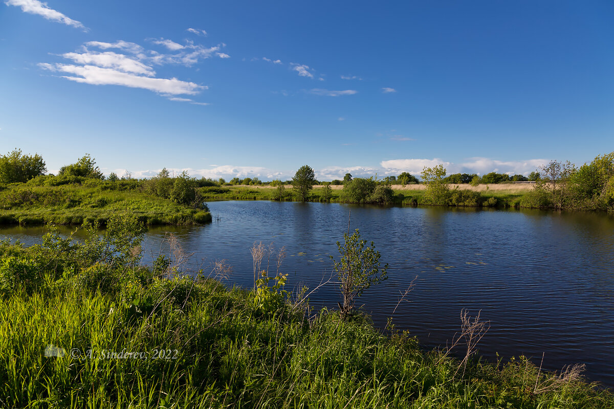 Тёплый летний пейзаж - Александр Синдерёв