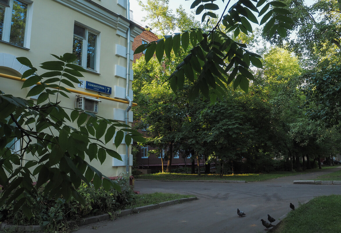 Уголок Москвы - юрий поляков