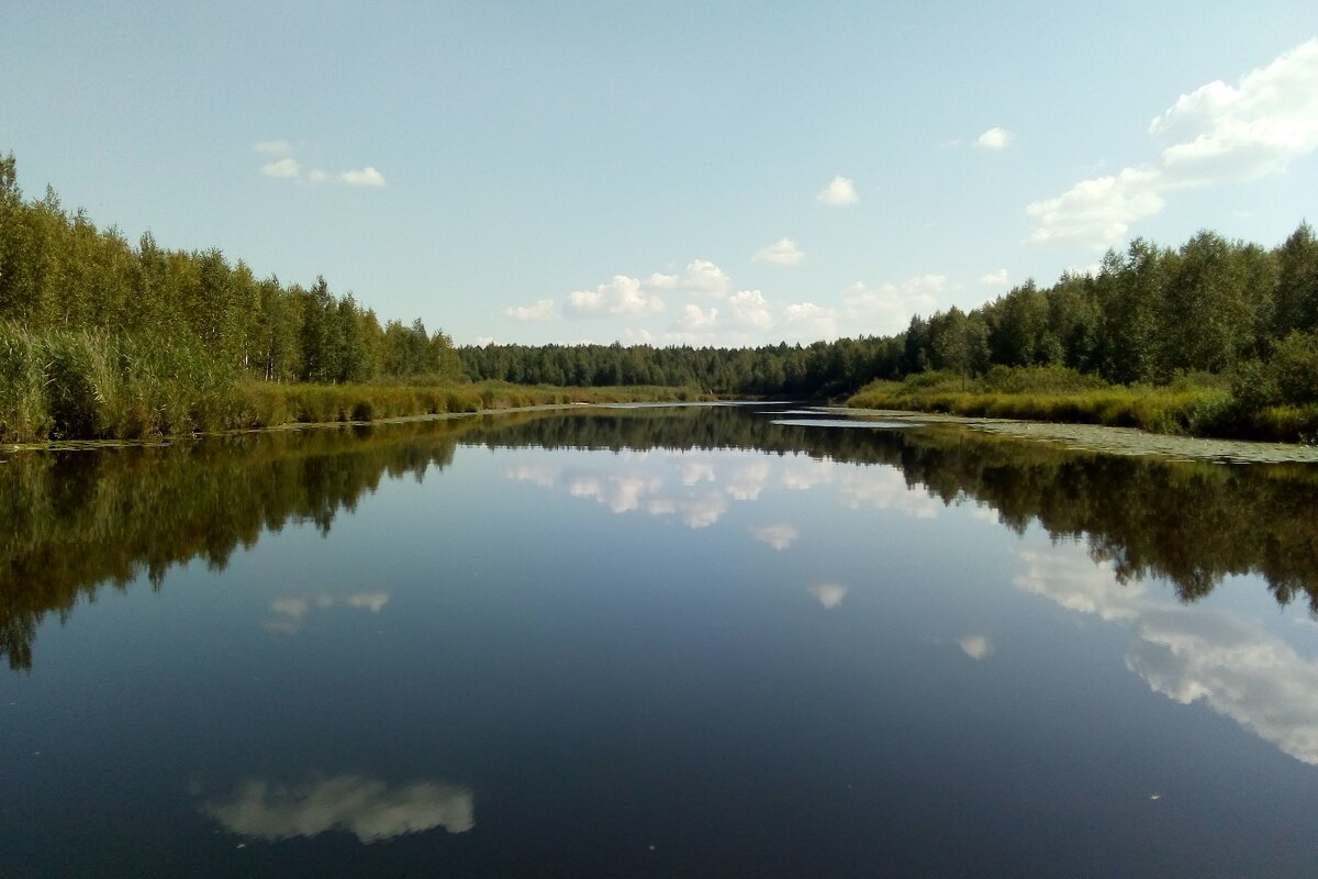 Весь мир — это отражение - Наталья Т