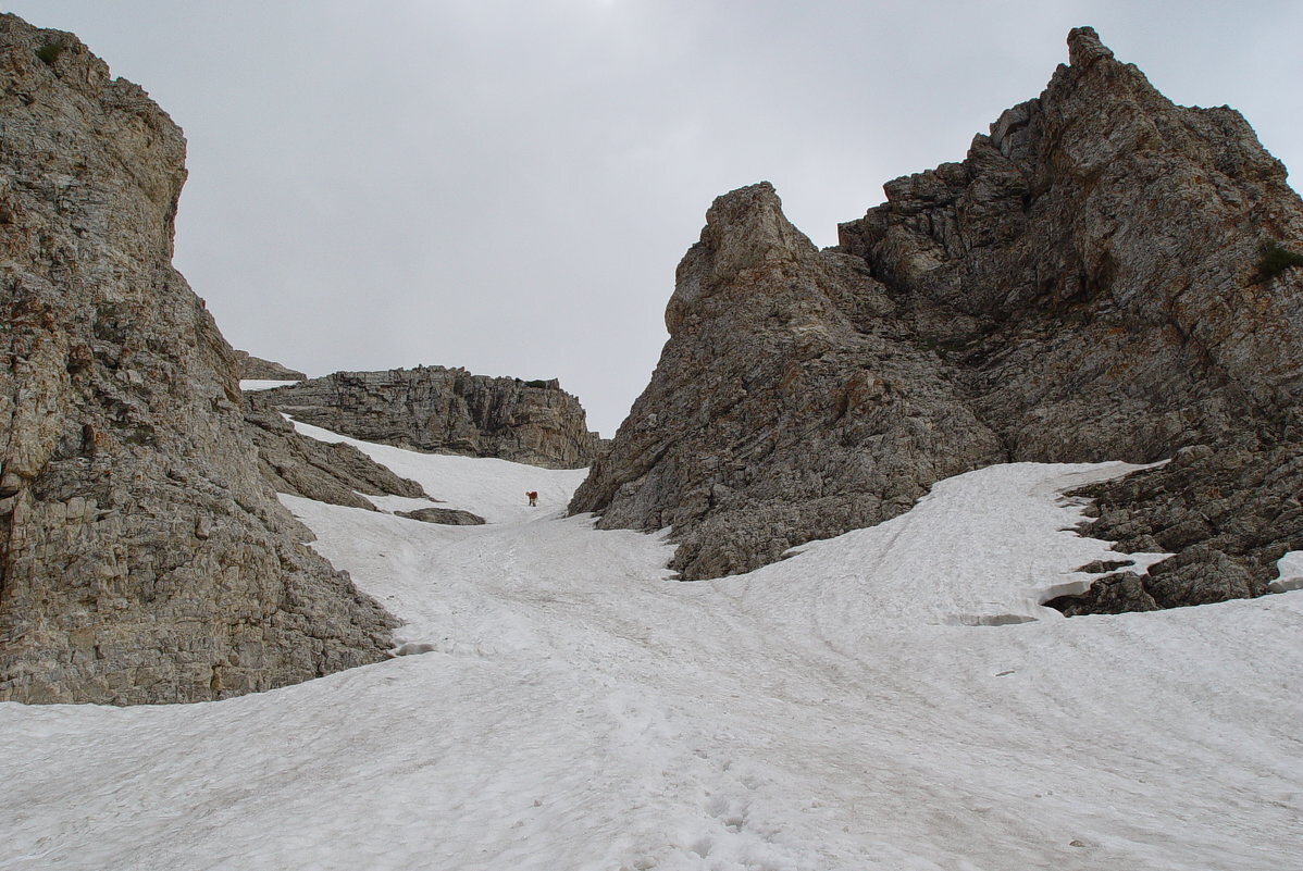 ПРОГУЛКА НА ВЕРШИНУ. С вершины. - Виктор Осипчук ПРОГУЛКА НА ВЕРШИНУ. С вершины. - Виктор Осипчук