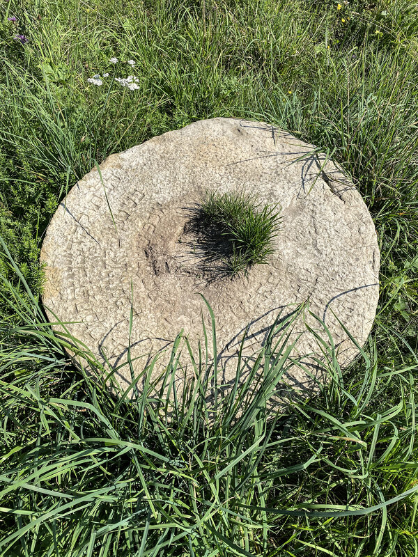 История жизни и смерти - Светлана Карнаух История жизни и смерти - Светлана Карнаух