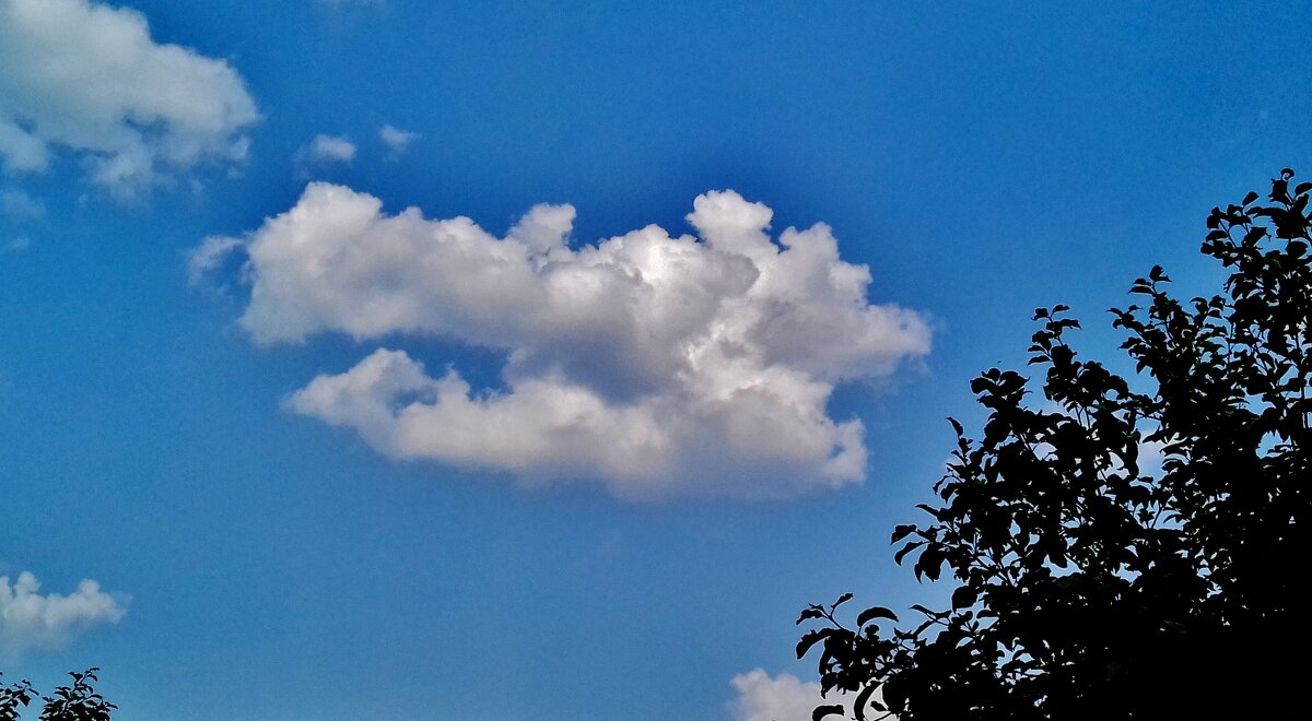 гонка - Владимир 