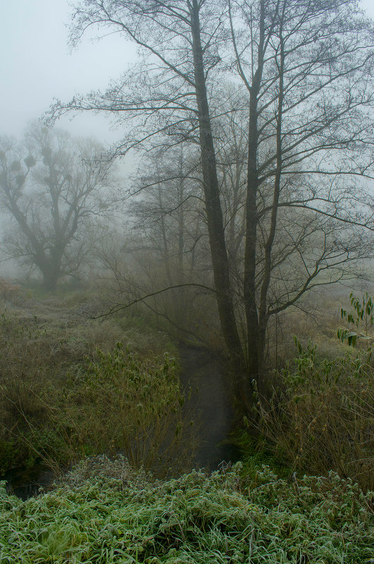 Речушка у истоков тумана - Владимир ЯЩУК Речушка у истоков тумана - Владимир ЯЩУК