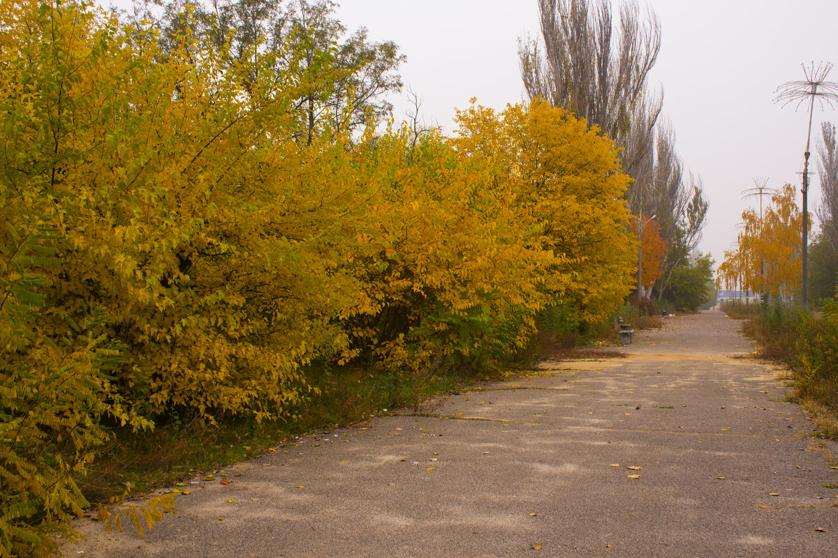 Осень,Николаев - Виолетта Петровская