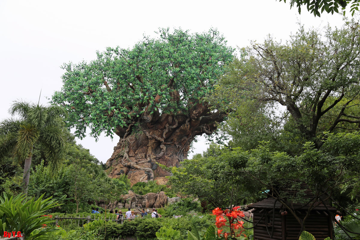 Окультуренный, отдекорированный баобаб, в центре Animal Kingdom - Яков Геллер Окультуренный, отдекорированный баобаб, в центре Animal Kingdom - Яков Геллер