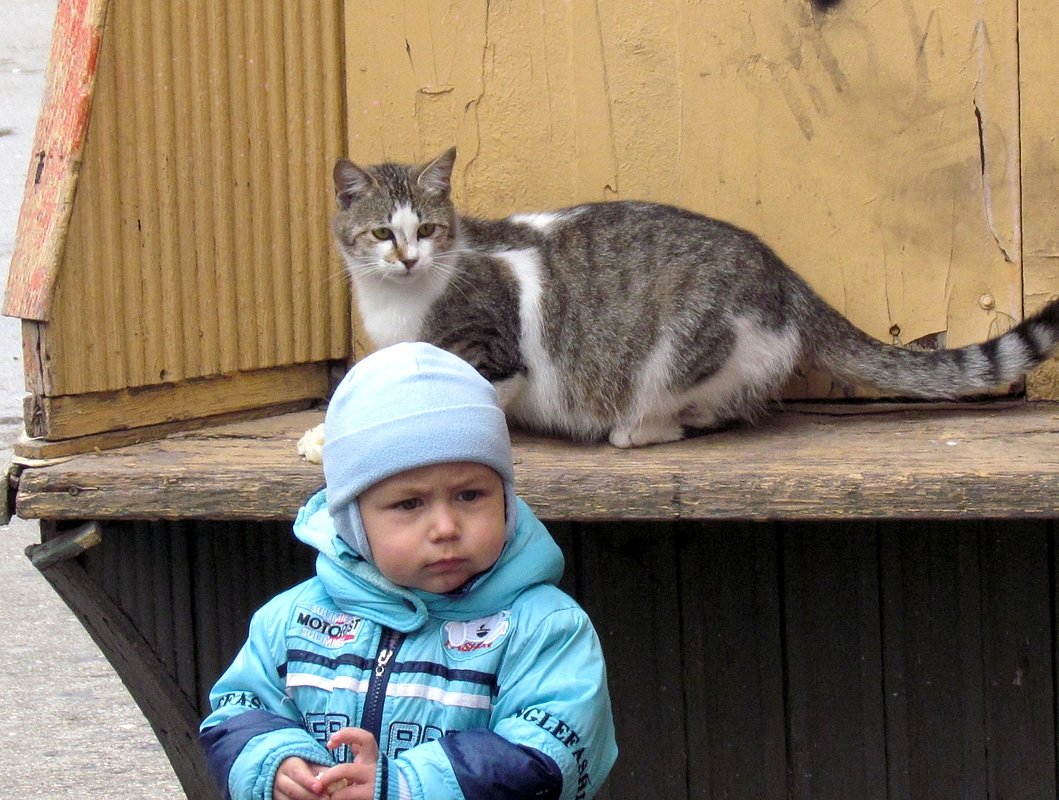 Конгениальность - Дядюшка Джо