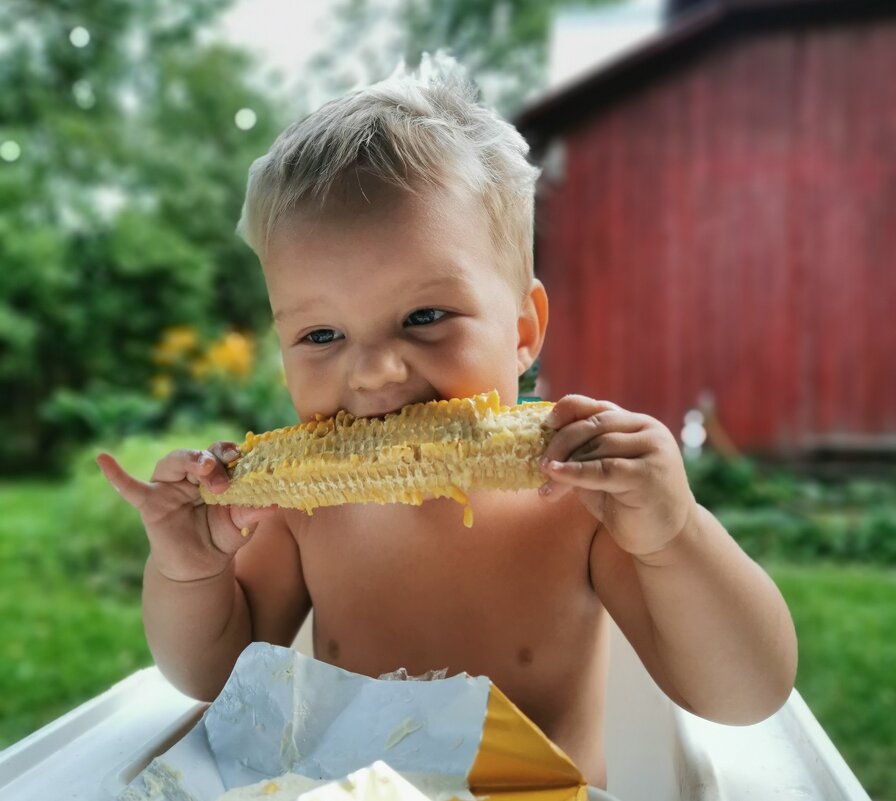 У Тимы режутся зубы - Ольга Довженко У Тимы режутся зубы - Ольга Довженко