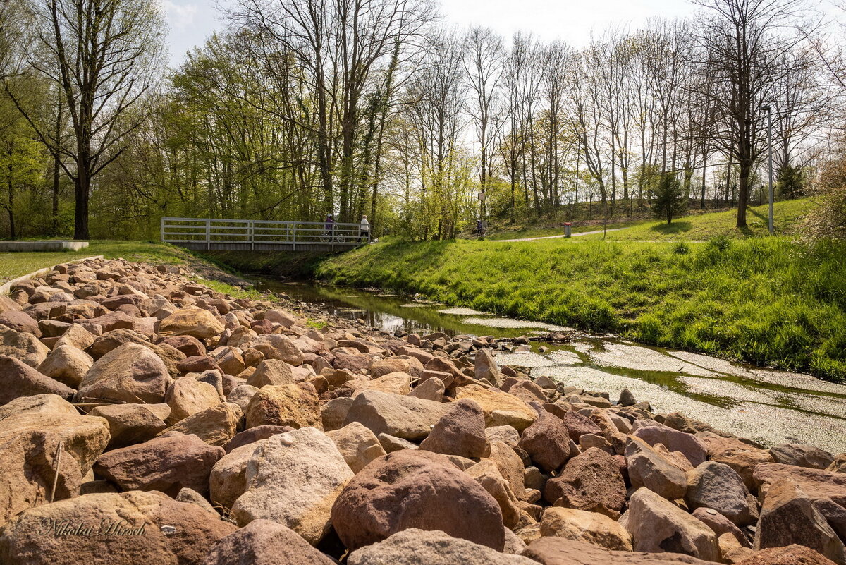 В парковой зоне - Николай Гирш В парковой зоне - Николай Гирш